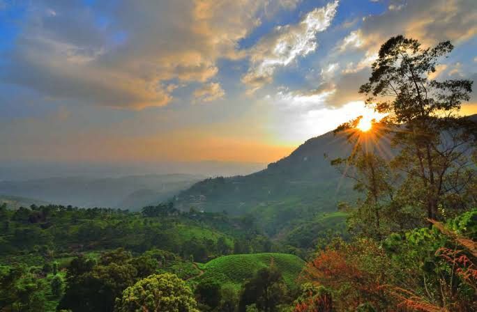 Pothamedu View Point Munnar