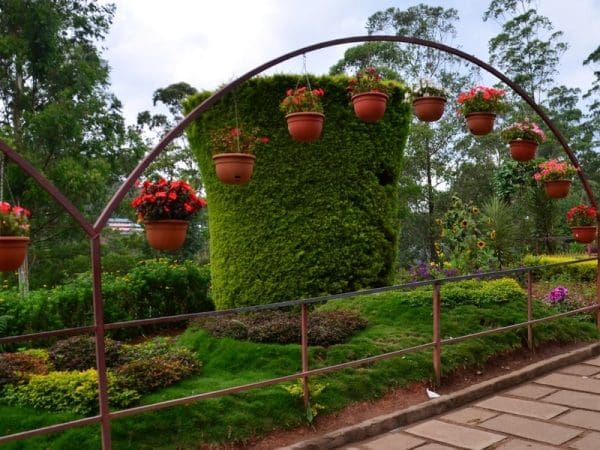 Rose Garden Munnar